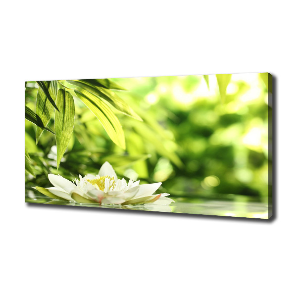 Canvas wall art water lily