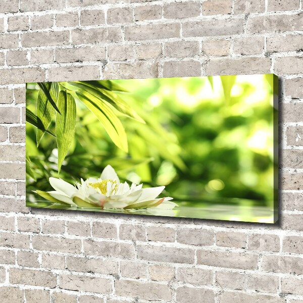 Canvas wall art water lily