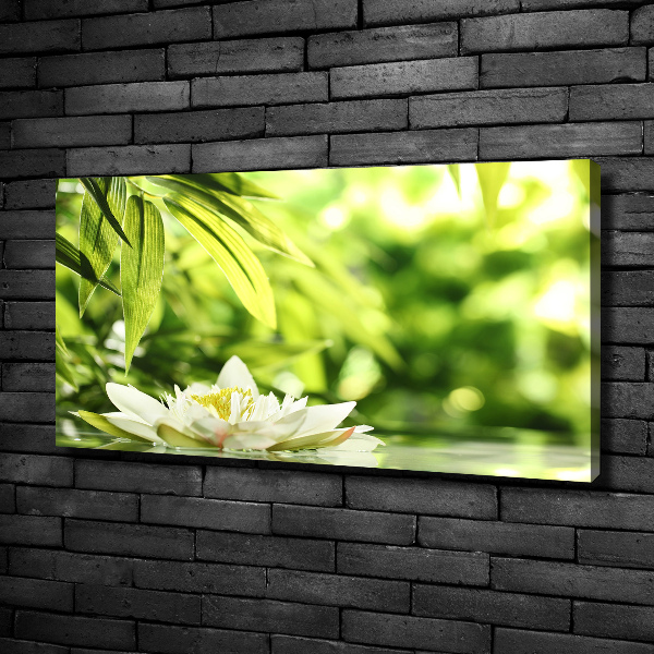 Canvas wall art water lily