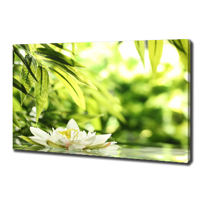 Canvas wall art water lily