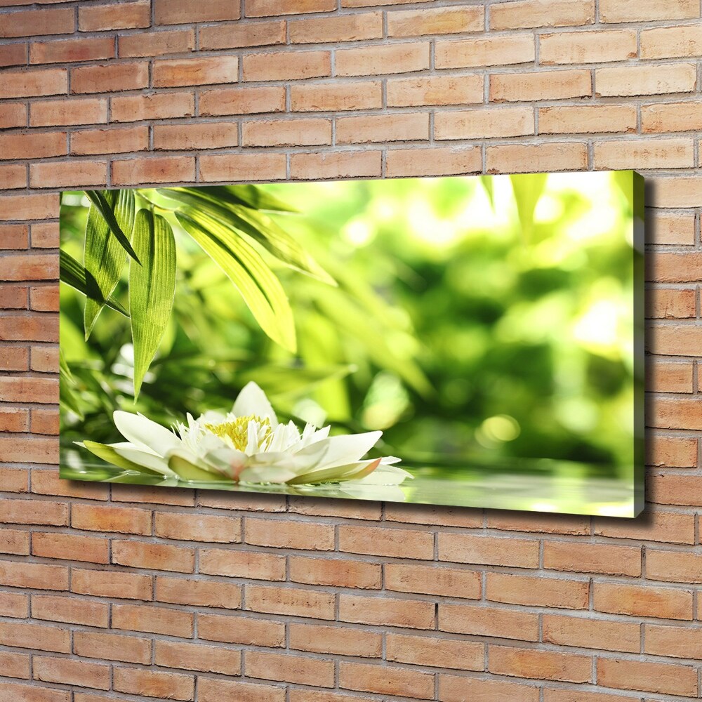 Canvas wall art water lily