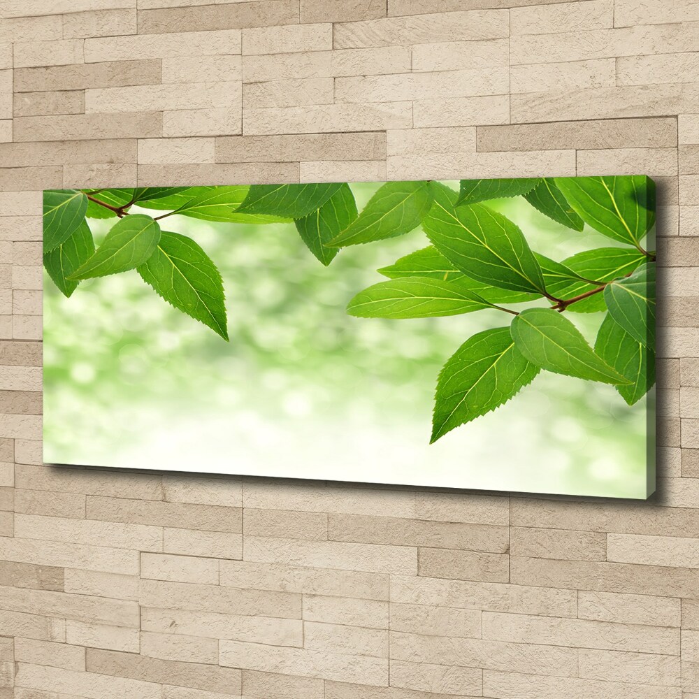 Canvas wall art Green leaves