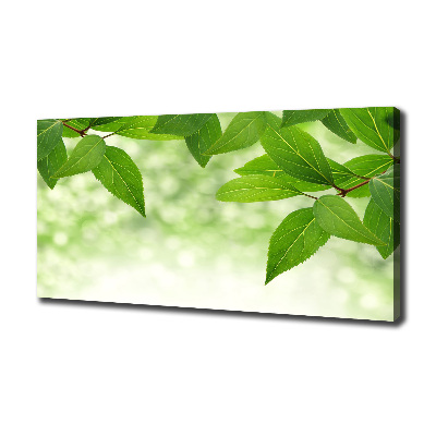 Canvas wall art Green leaves