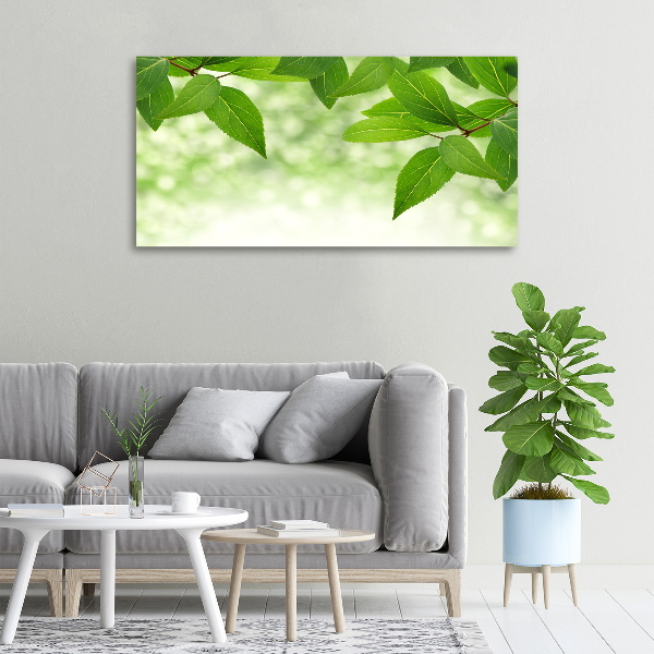 Canvas wall art Green leaves