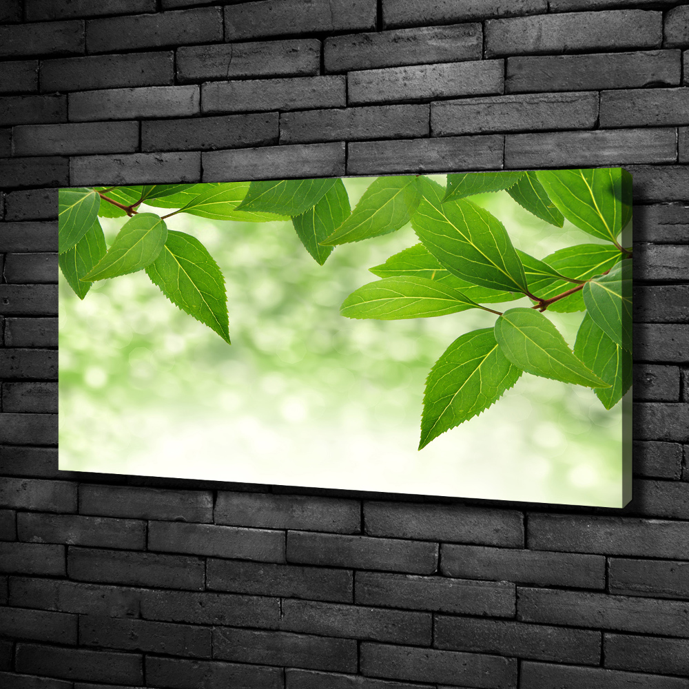 Canvas wall art Green leaves