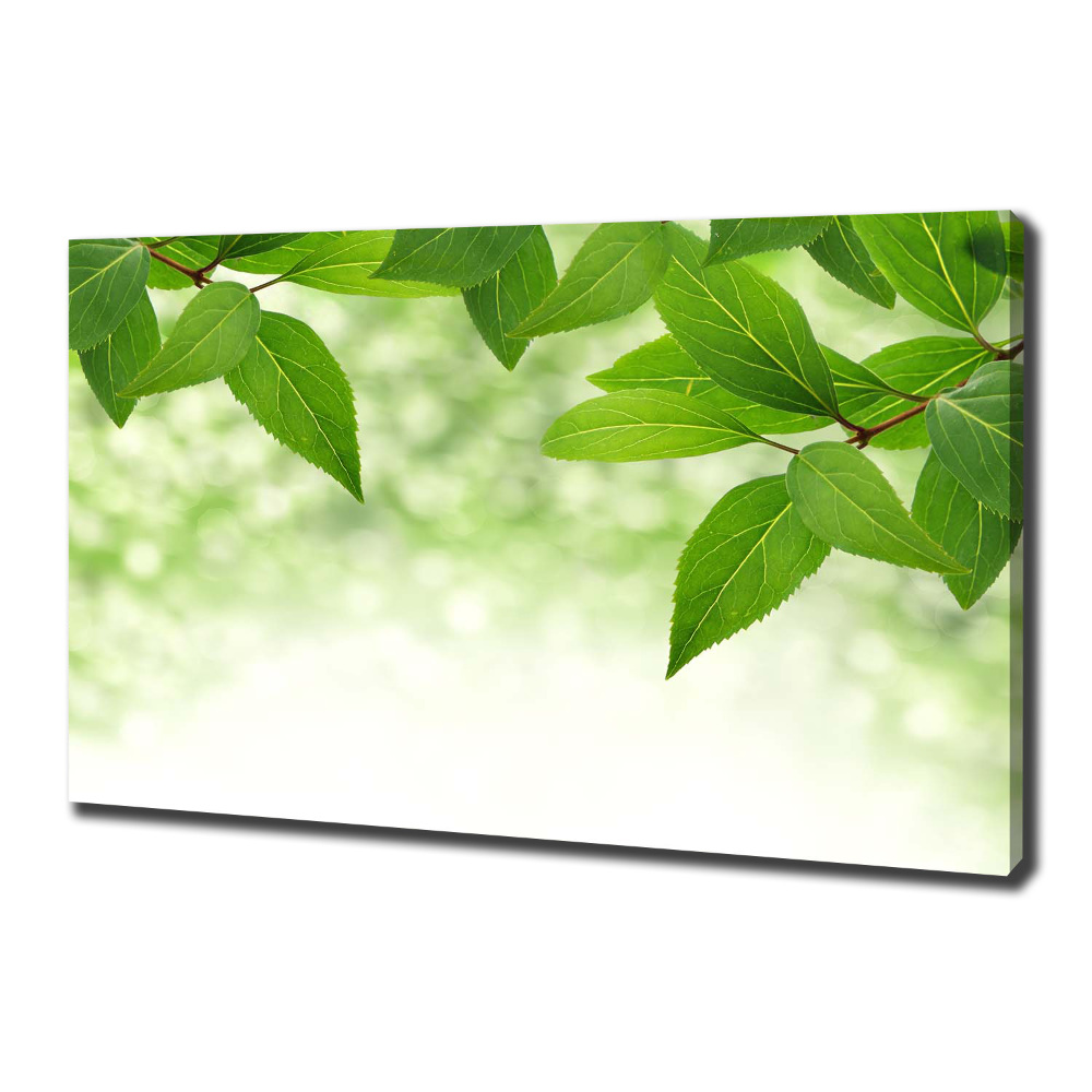 Canvas wall art Green leaves