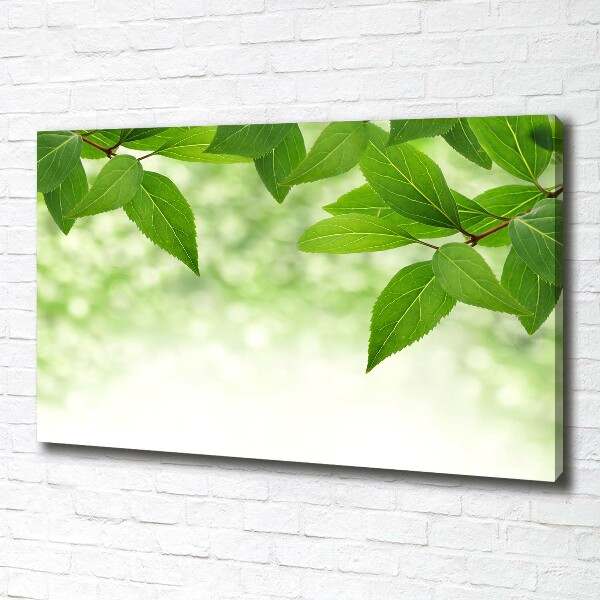 Canvas wall art Green leaves