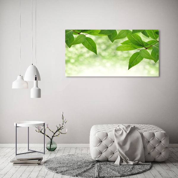 Canvas wall art Green leaves