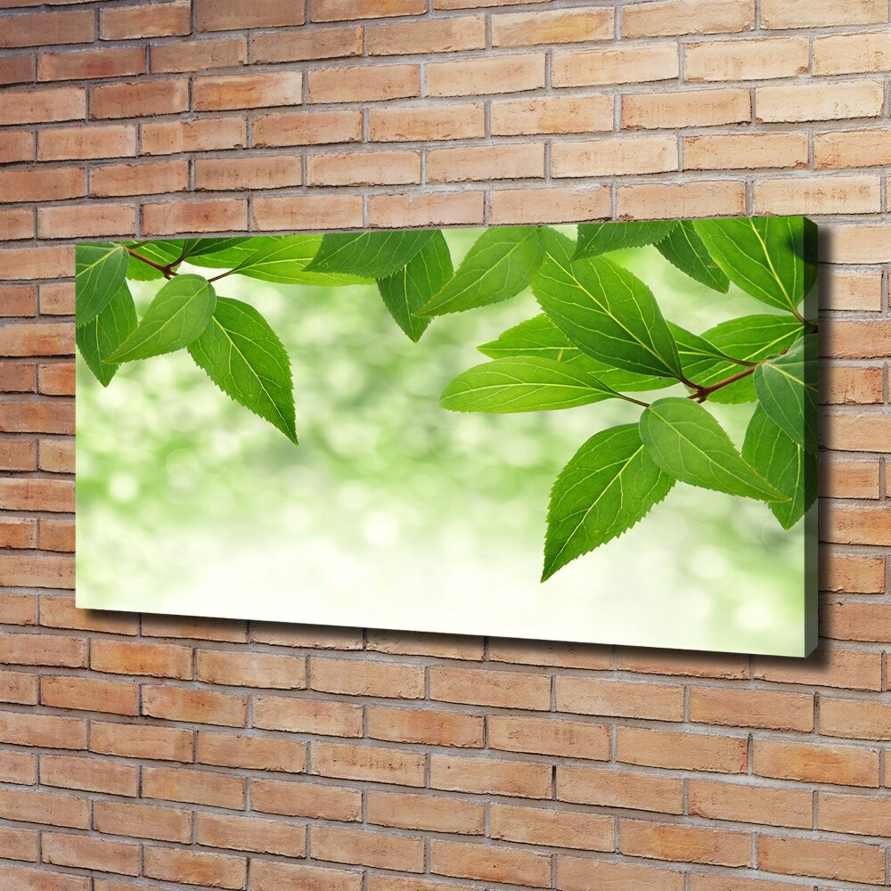 Canvas wall art Green leaves