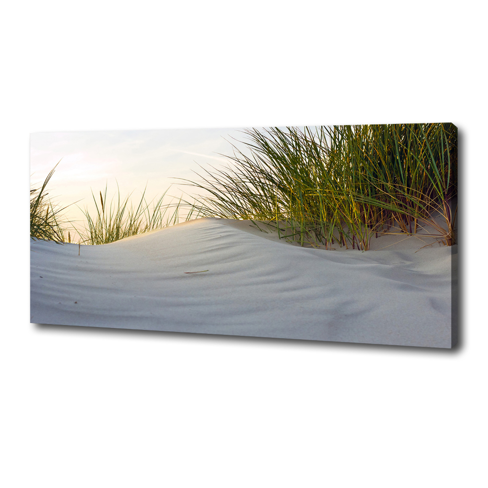 Canvas wall art Coastal dunes