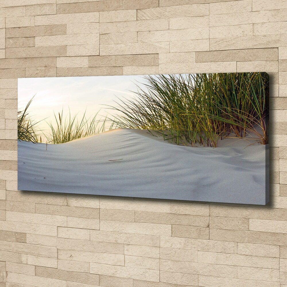 Canvas wall art Coastal dunes