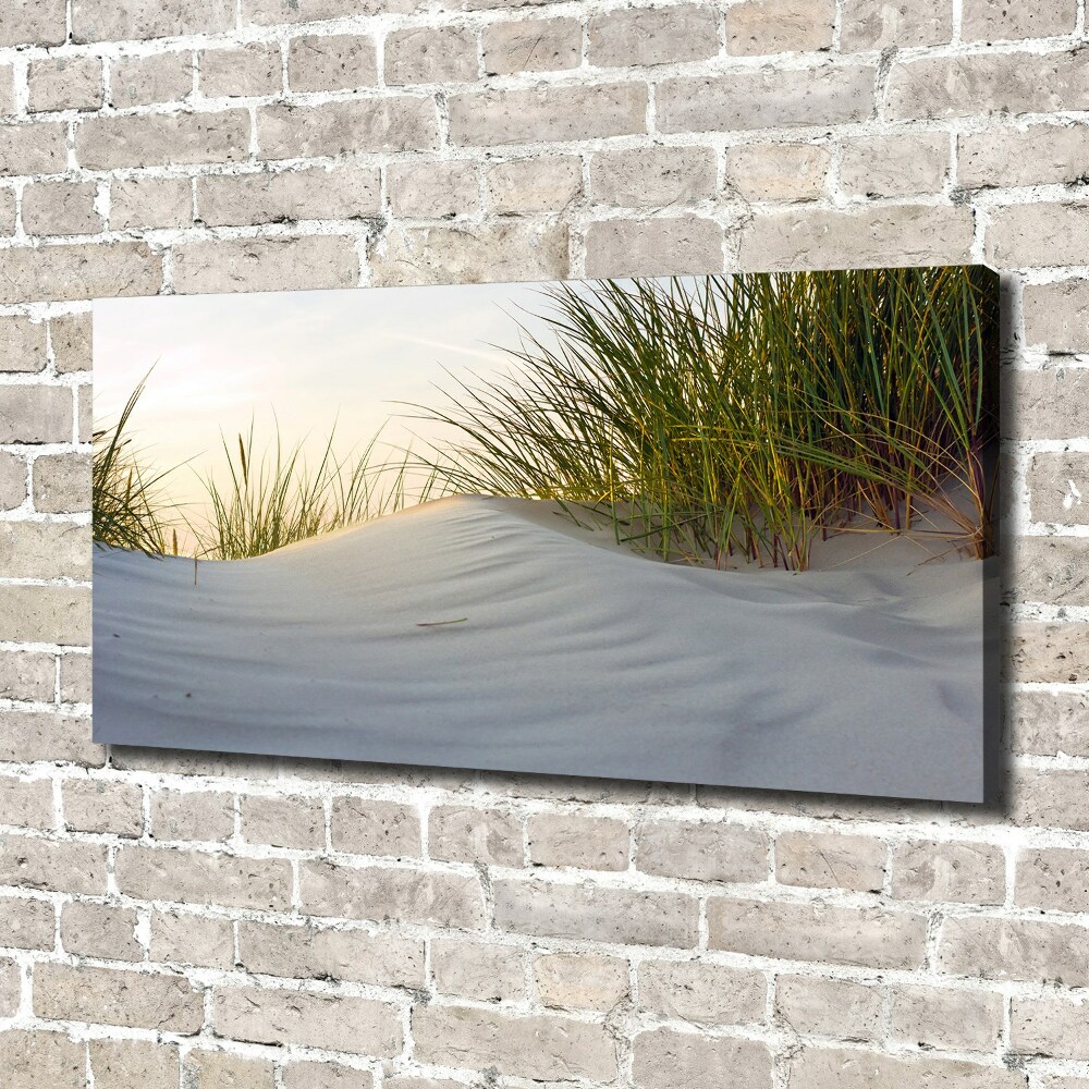 Canvas wall art Coastal dunes