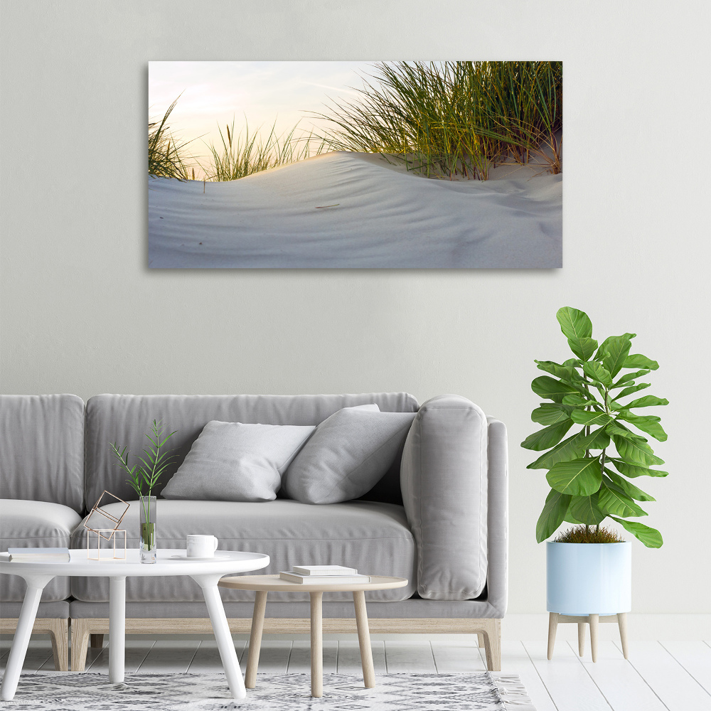 Canvas wall art Coastal dunes