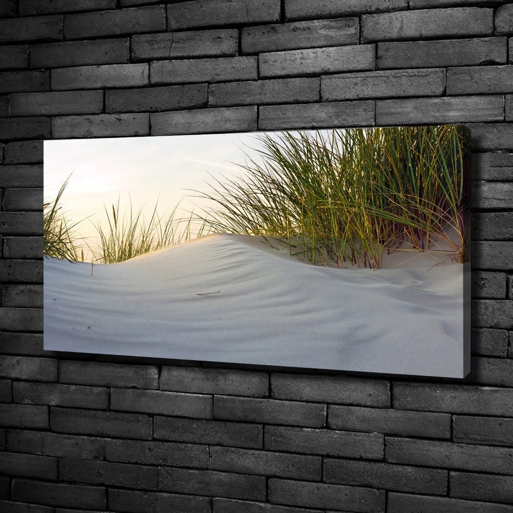 Canvas wall art Coastal dunes