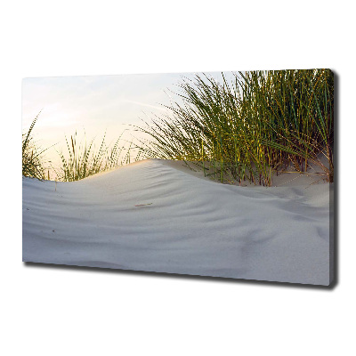 Canvas wall art Coastal dunes