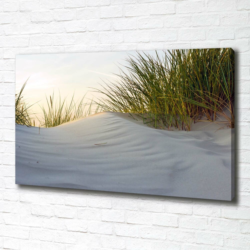 Canvas wall art Coastal dunes