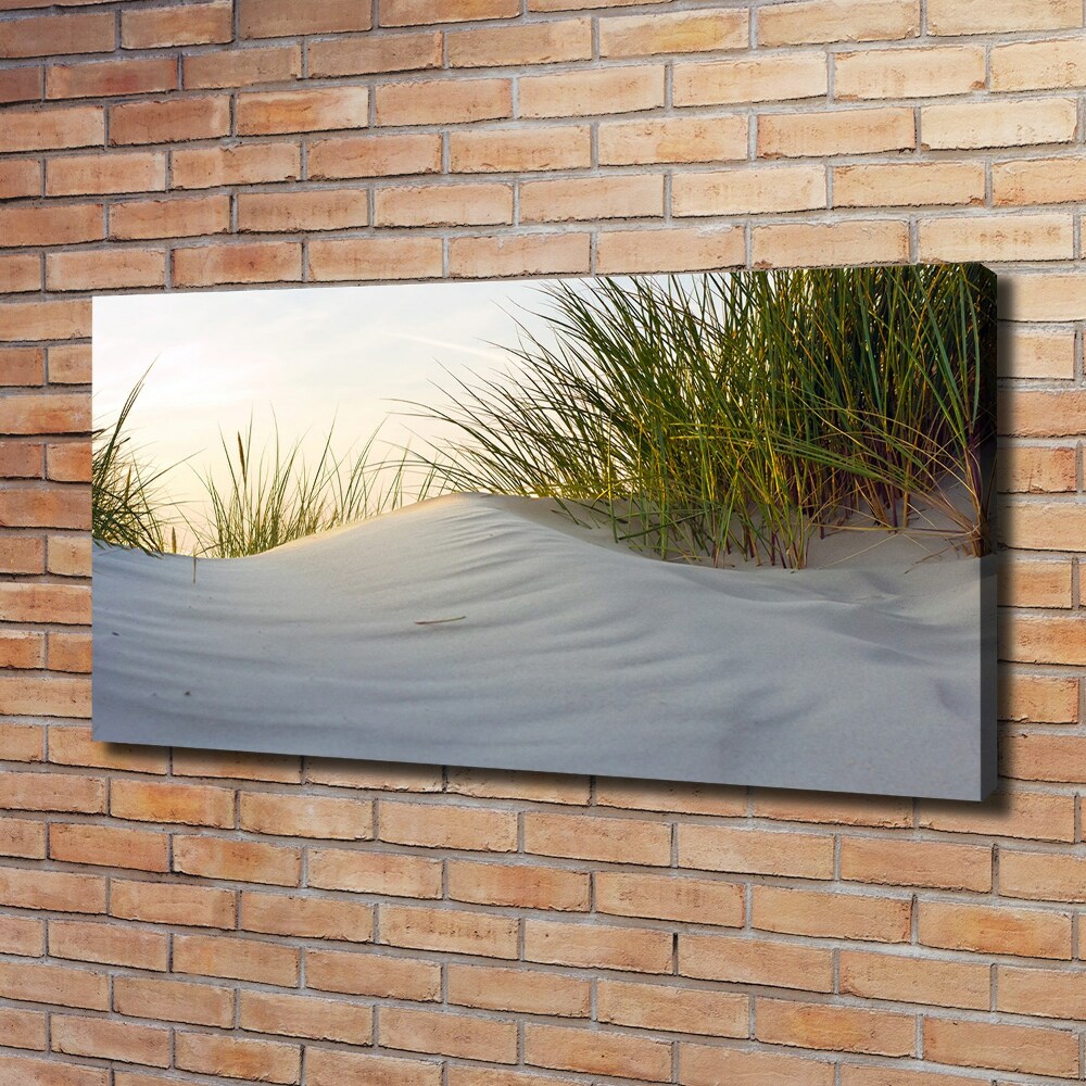 Canvas wall art Coastal dunes