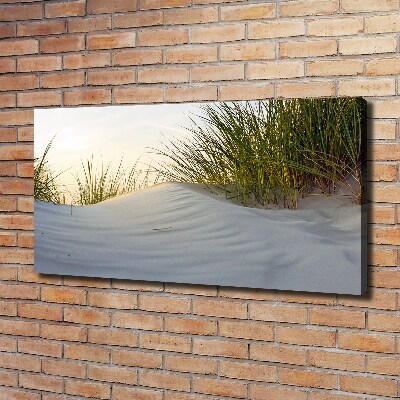 Canvas wall art Coastal dunes