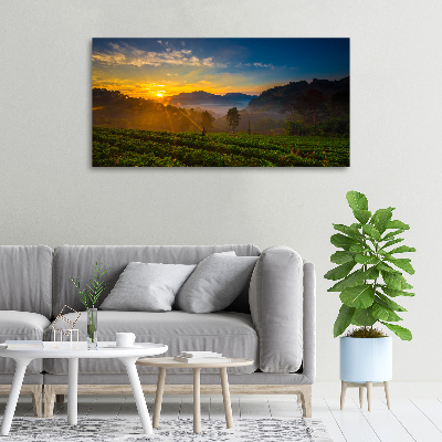 Canvas wall art Tea plantation