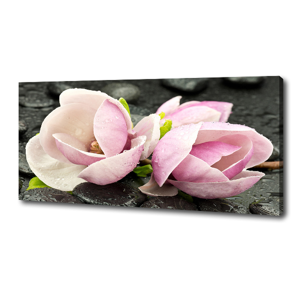 Canvas wall art Magnolia stone zen