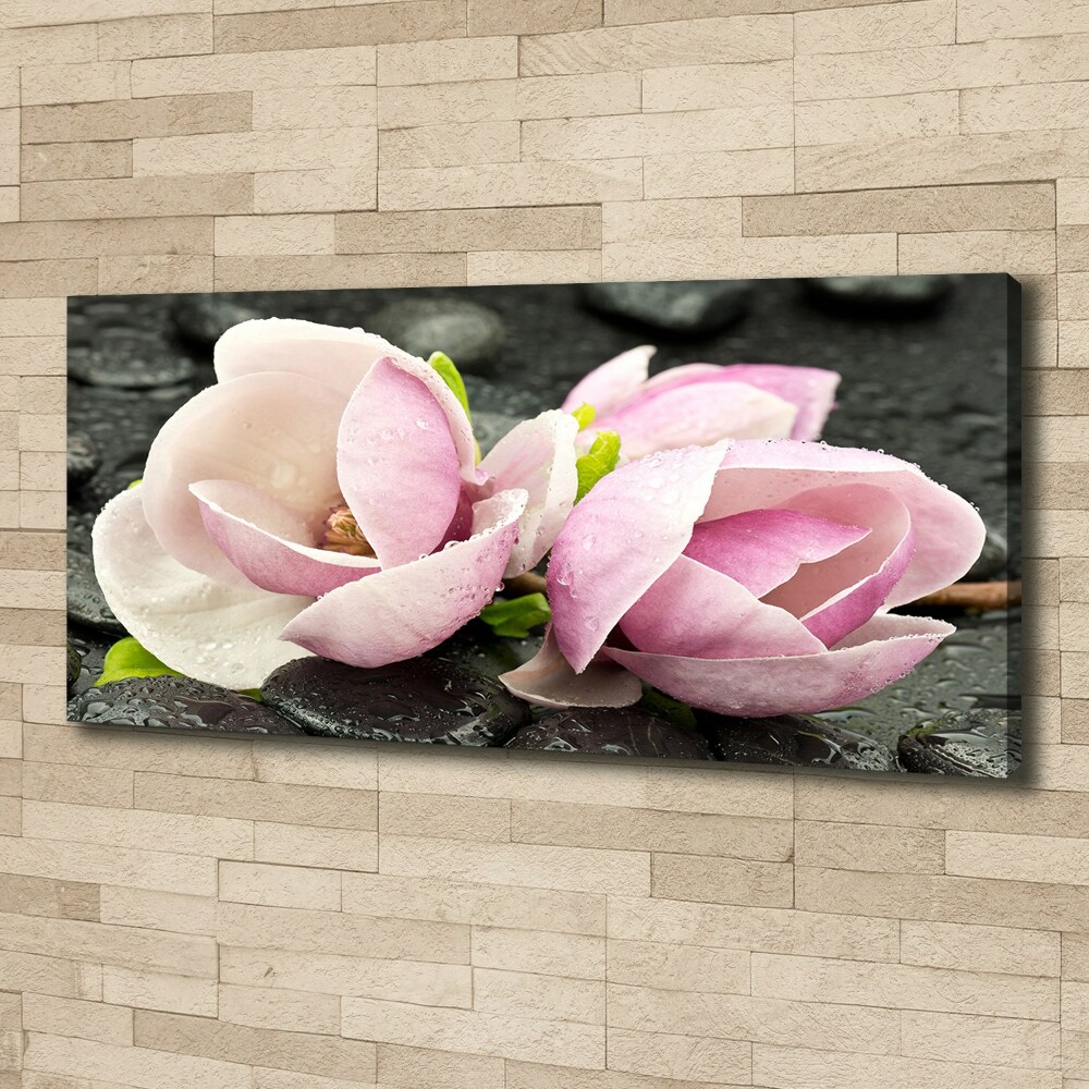 Canvas wall art Magnolia stone zen