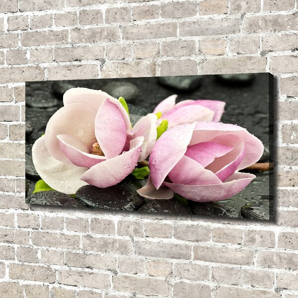 Canvas wall art Magnolia stone zen