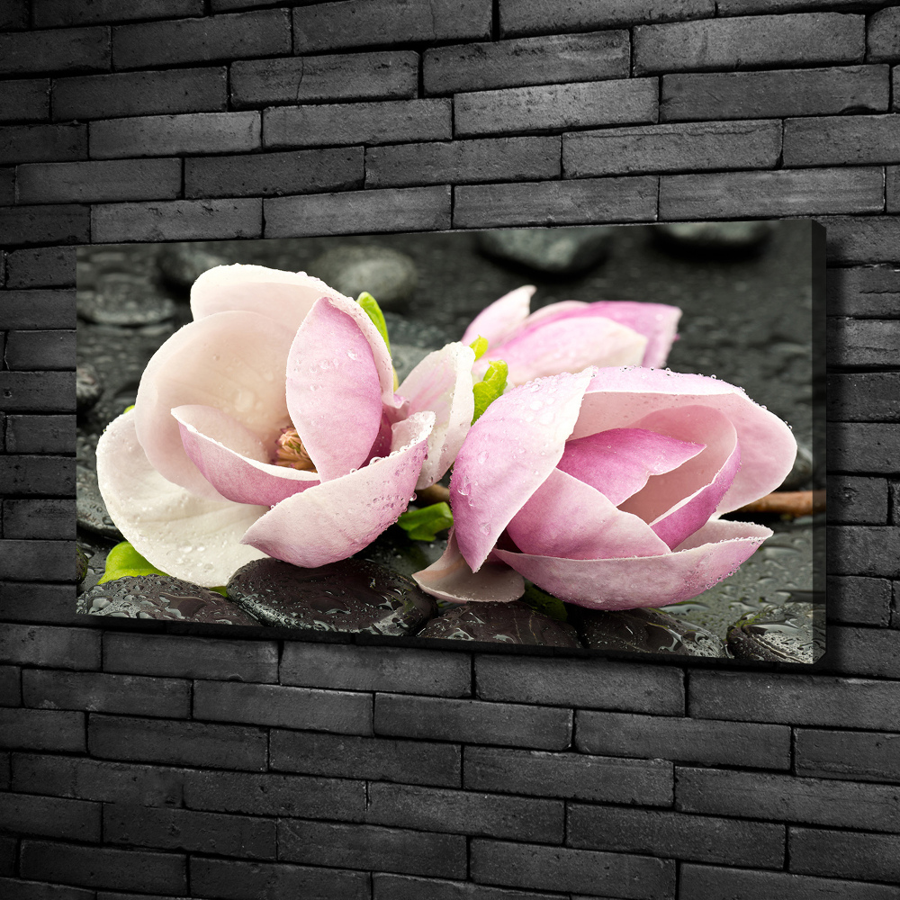 Canvas wall art Magnolia stone zen