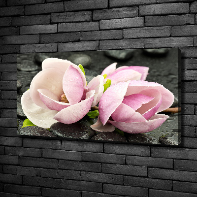 Canvas wall art Magnolia stone zen