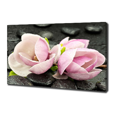 Canvas wall art Magnolia stone zen