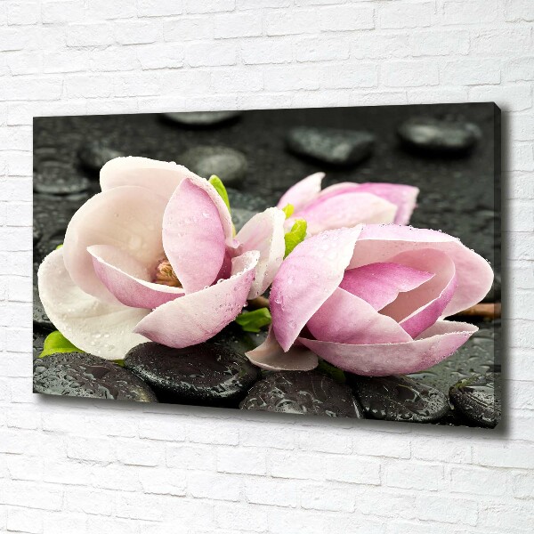 Canvas wall art Magnolia stone zen