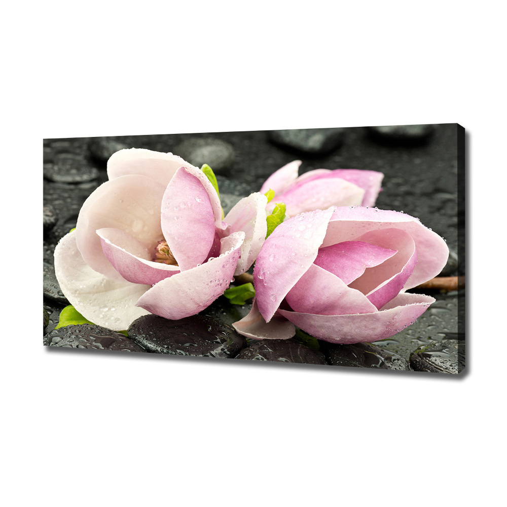 Canvas wall art Magnolia stone zen