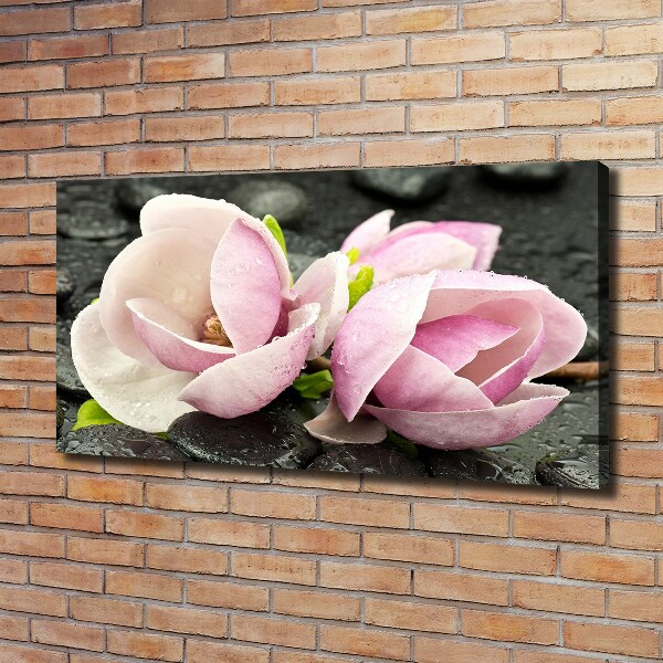 Canvas wall art Magnolia stone zen