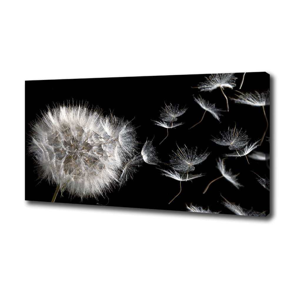 Canvas wall art Dandelion