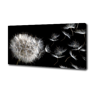 Canvas wall art Dandelion