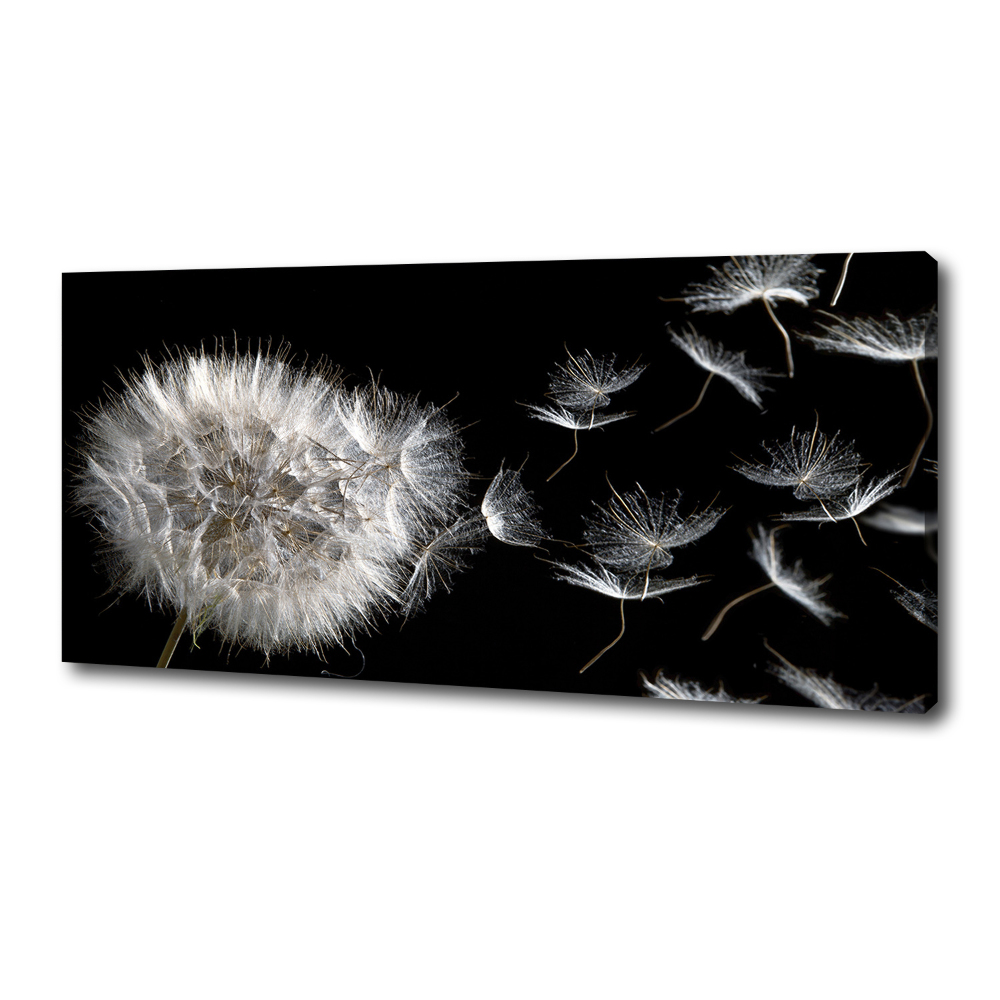 Canvas wall art Dandelion