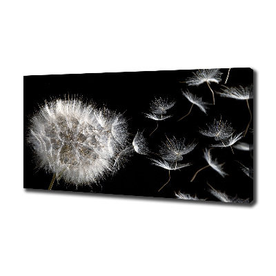 Canvas wall art Dandelion