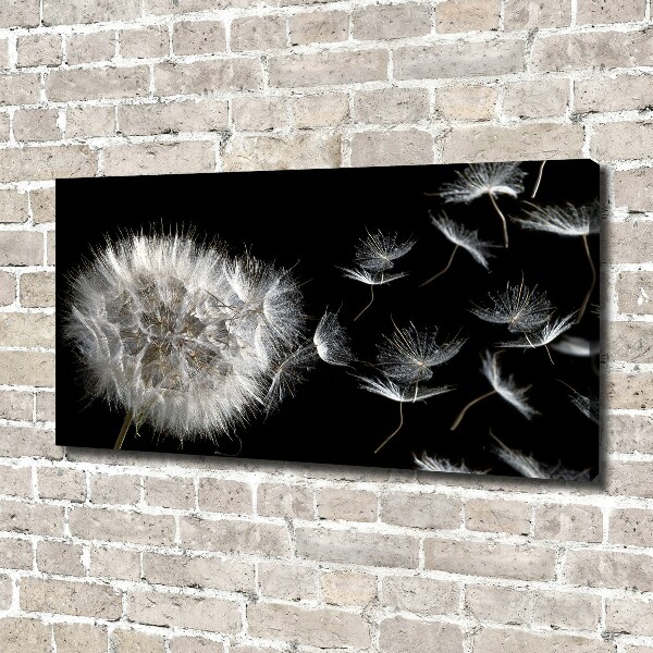 Canvas wall art Dandelion