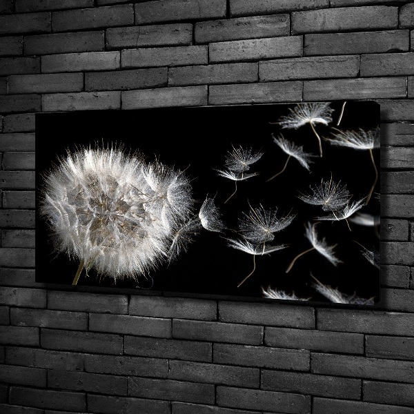 Canvas wall art Dandelion