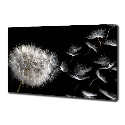 Canvas wall art Dandelion