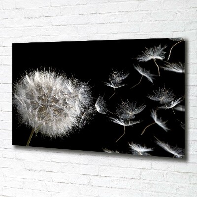 Canvas wall art Dandelion