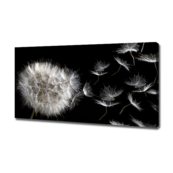 Canvas wall art Dandelion