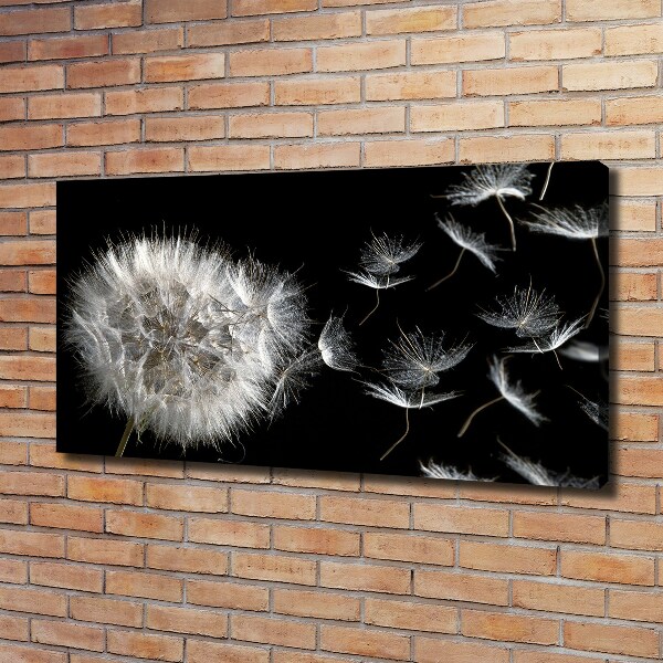 Canvas wall art Dandelion