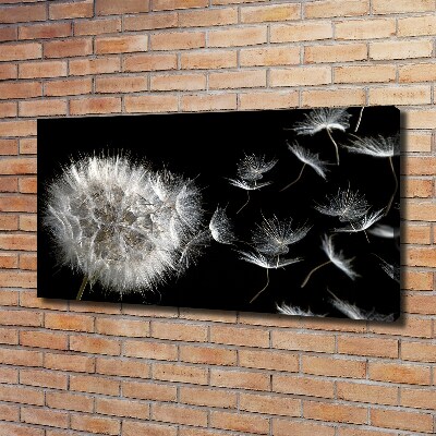 Canvas wall art Dandelion