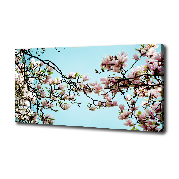 Canvas wall art Magnolia flowers