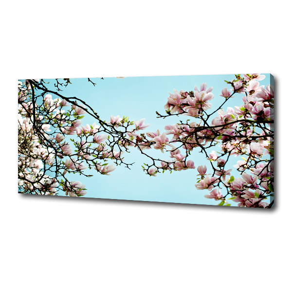 Canvas wall art Magnolia flowers