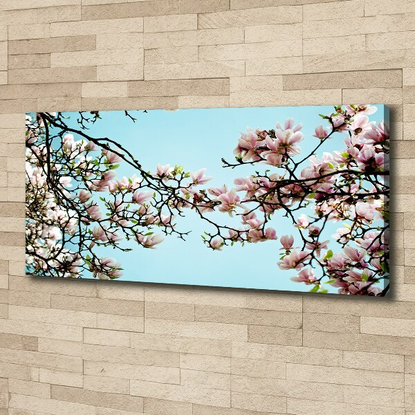 Canvas wall art Magnolia flowers