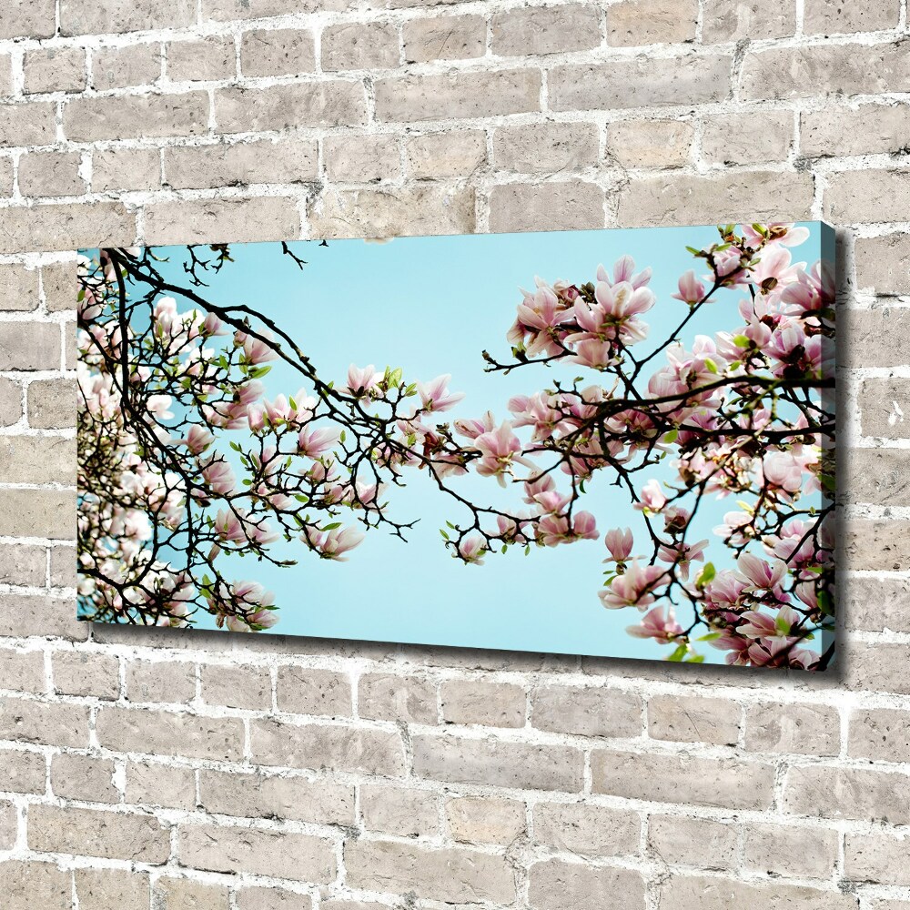 Canvas wall art Magnolia flowers