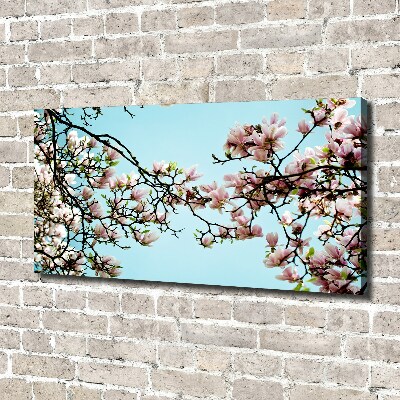 Canvas wall art Magnolia flowers