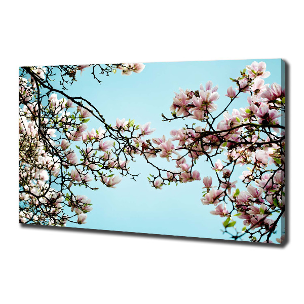 Canvas wall art Magnolia flowers