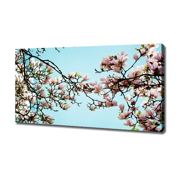 Canvas wall art Magnolia flowers